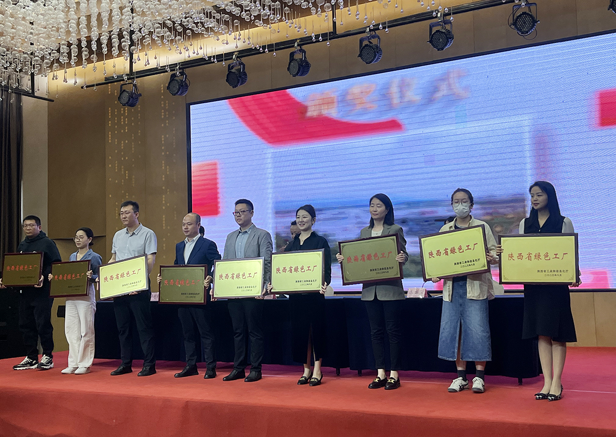 东升国际官网-钻营健全,你我一路成长